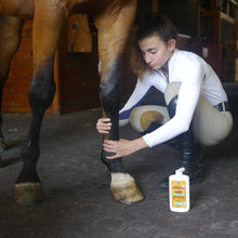 Absorbine Veterinary Liniment Gel | Muscle & Joint Relief for Horses