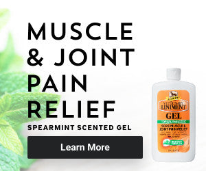 Absorbine Veterinary Liniment Gel | Muscle & Joint Relief for Horses