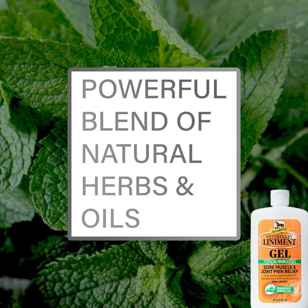 Absorbine Veterinary Liniment Gel | Muscle & Joint Relief for Horses