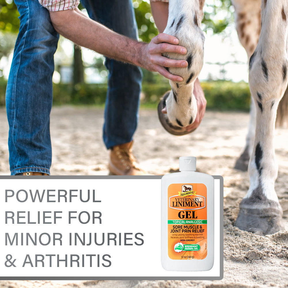 Absorbine Veterinary Liniment Gel | Muscle & Joint Relief for Horses