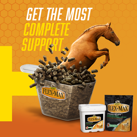 Absorbine Flex+Max – Joint Health Supplement Pellets | Horses & Dogs | 5 lb