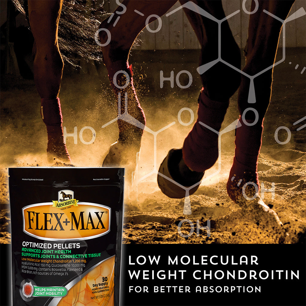 Absorbine Flex+Max – Joint Health Supplement Pellets | Horses & Dogs | 5 lb