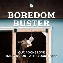 Redmond Rock On A Rope Natural Horse Salt Lick | Mineral Rock for Hydration & Balance | 3 lb.