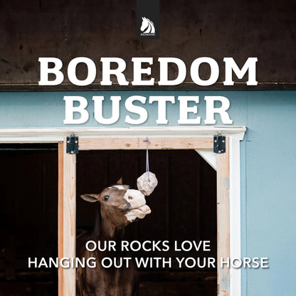 Redmond Rock On A Rope Natural Horse Salt Lick | Mineral Rock for Hydration & Balance | 3 lb.