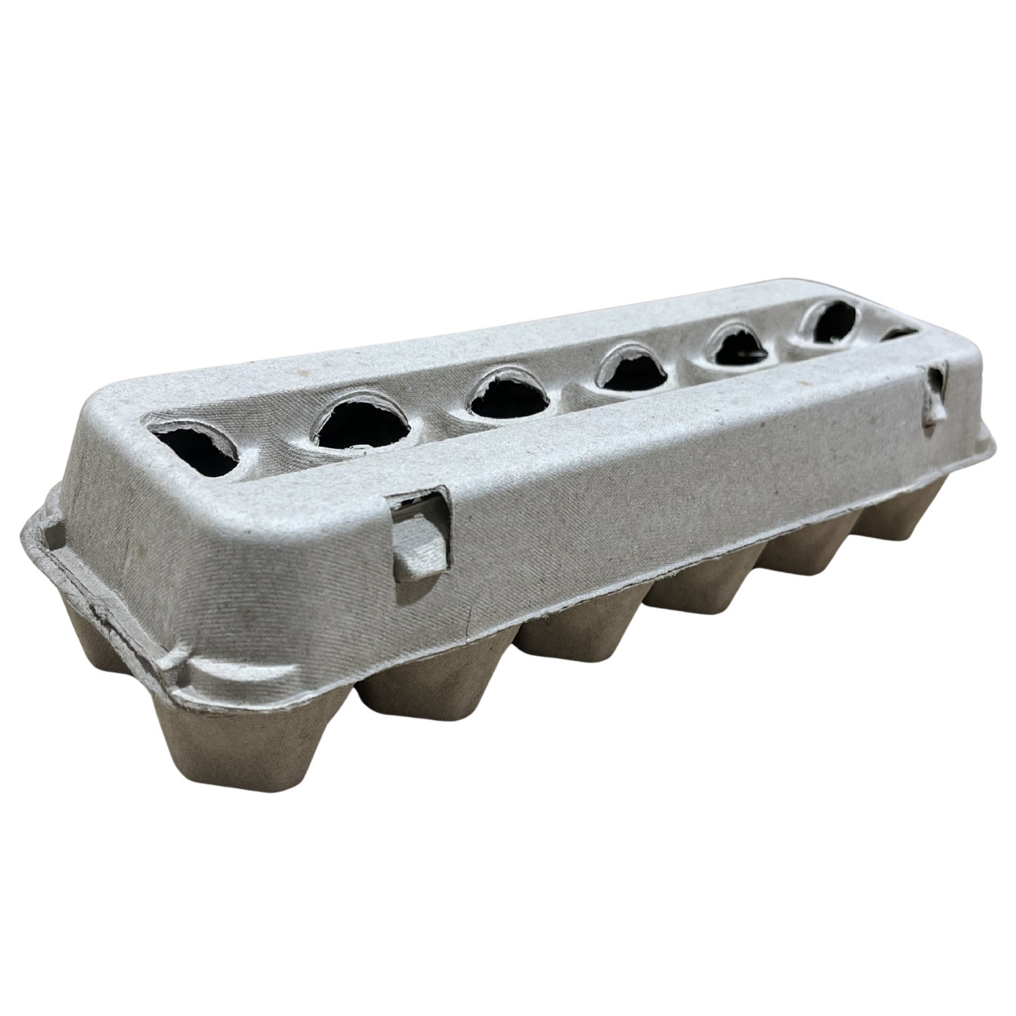 Paper Egg Carton | Holds 12 Eggs, Recyclable with Locking Tabs