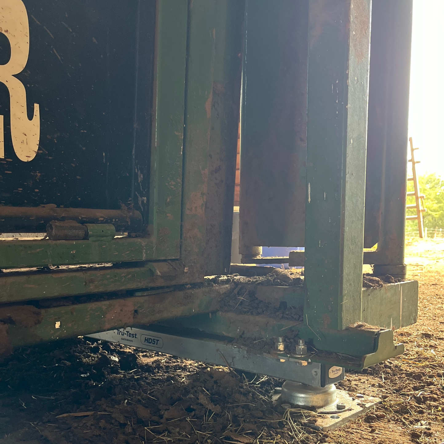 Tru-Test HD5T Load Bars | 39" Heavy-Duty 11,000 lb Cattle Squeeze Chute Scale Bars