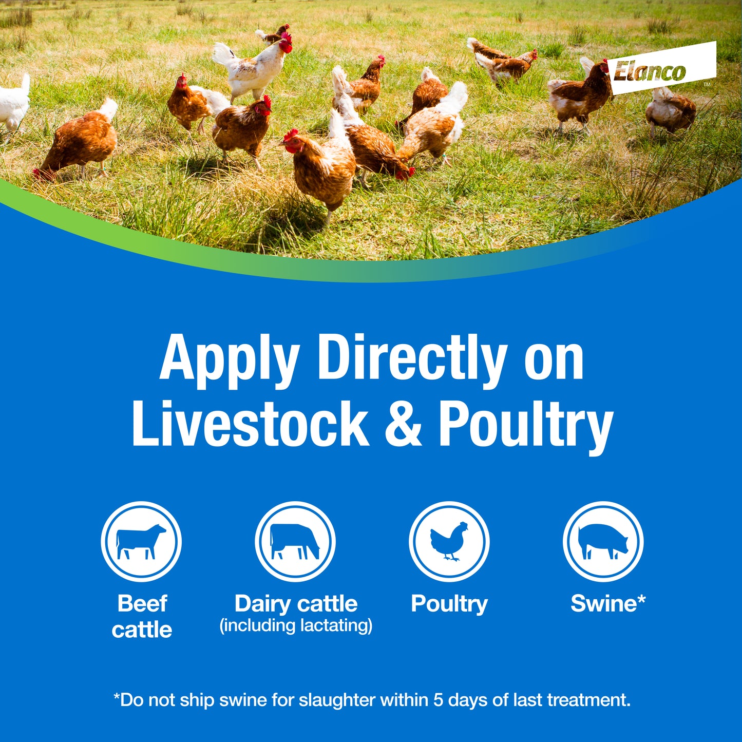 Elanco Permectrin Fly & Louse Dust | Controls Flies, Lice & Mites On Cattle & Poultry | 2 lb.