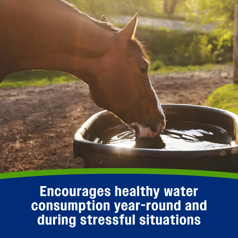 Farnam Apple Elite Electrolytes Powder Apple Flavor Horse Supplement – 5 lb tub