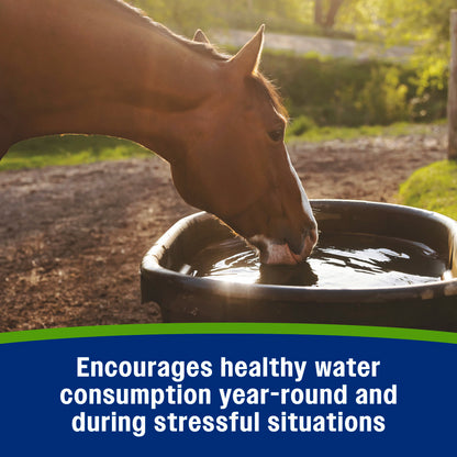 Farnam Apple Elite Electrolytes Powder Apple Flavor Horse Supplement – 5 lb tub