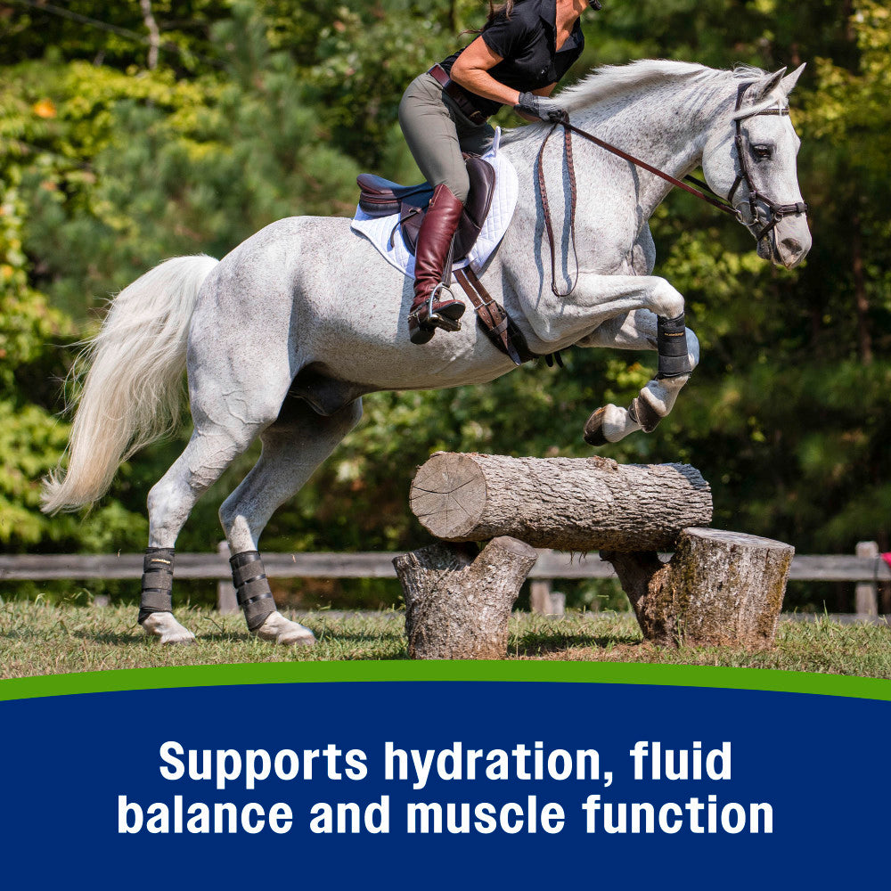 Farnam Apple Elite Electrolytes Powder Apple Flavor Horse Supplement – 5 lb tub