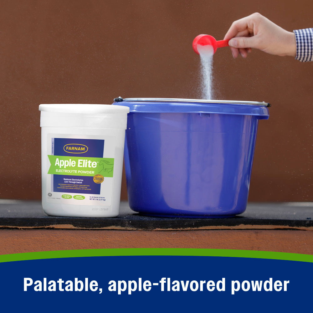 Farnam Apple Elite Electrolytes Powder Apple Flavor Horse Supplement – 5 lb tub