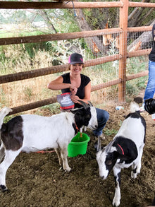 Redmond Goat Mineral | Natural Salt & Mineral Mix for Goats