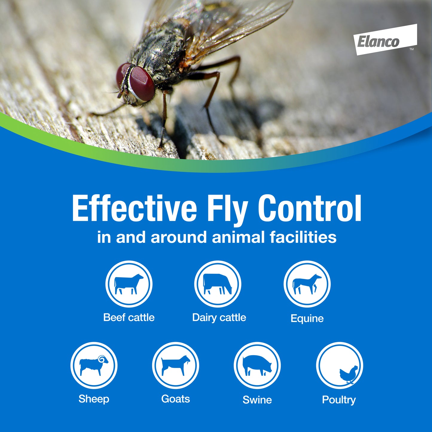Elanco QuickBayt Fly Bait – Fast Acting Nuisance Fly Control