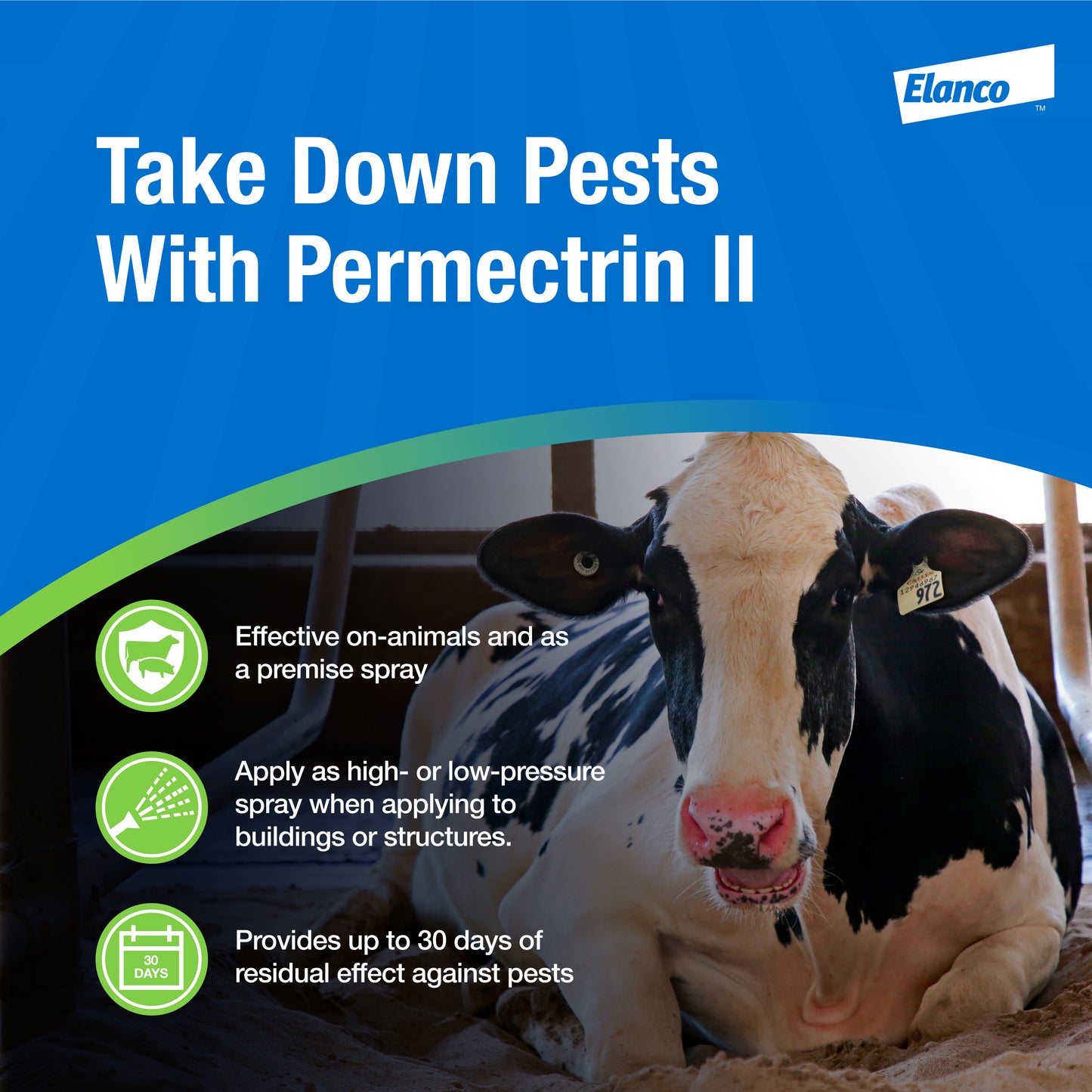 Elanco Permectrin II Insecticide Spray | Fly Lice Mite Tick Control | Livestock & Premises