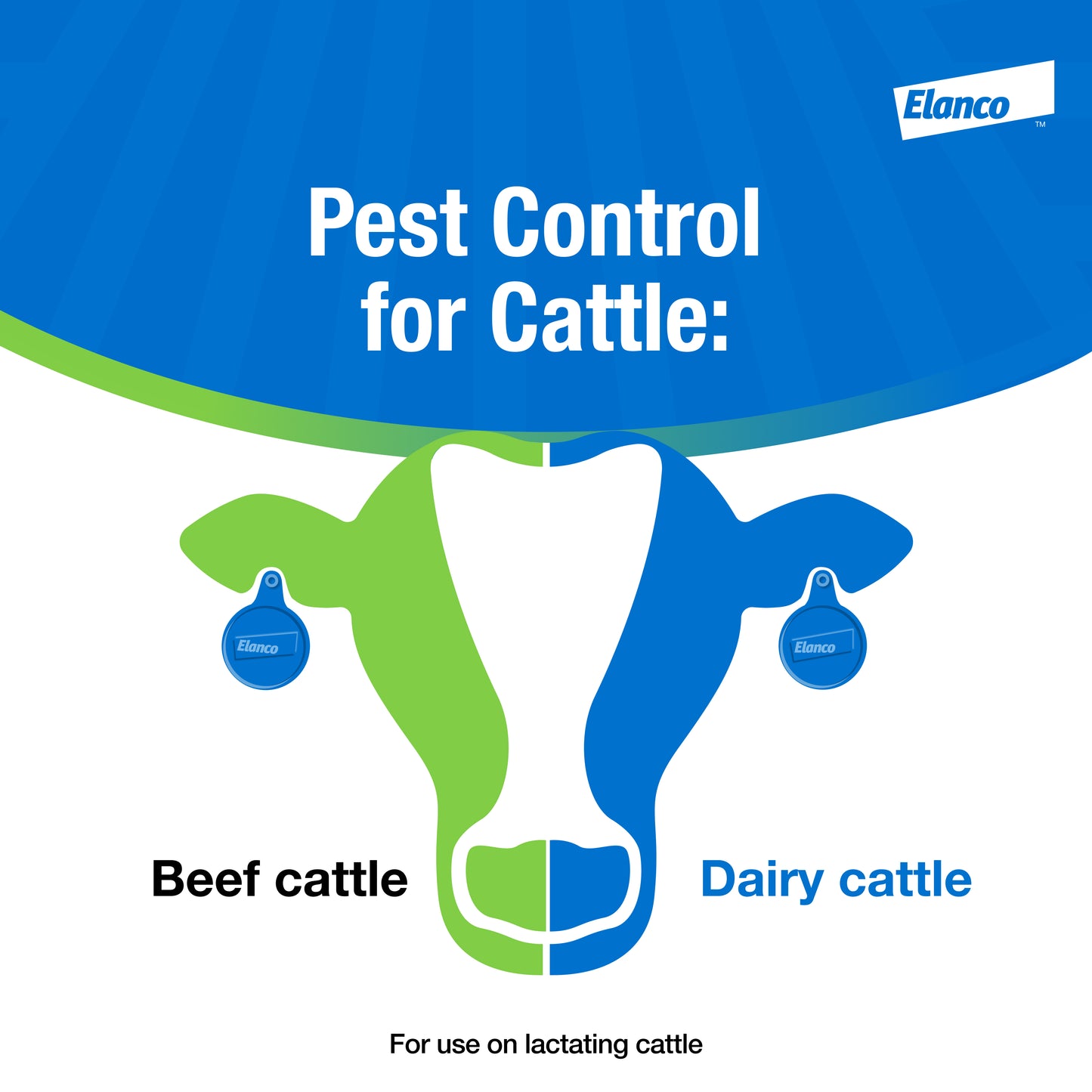 Elanco CyLence Ultra Insecticide Cattle Ear Tags | Fly & Tick Control | 20 Count