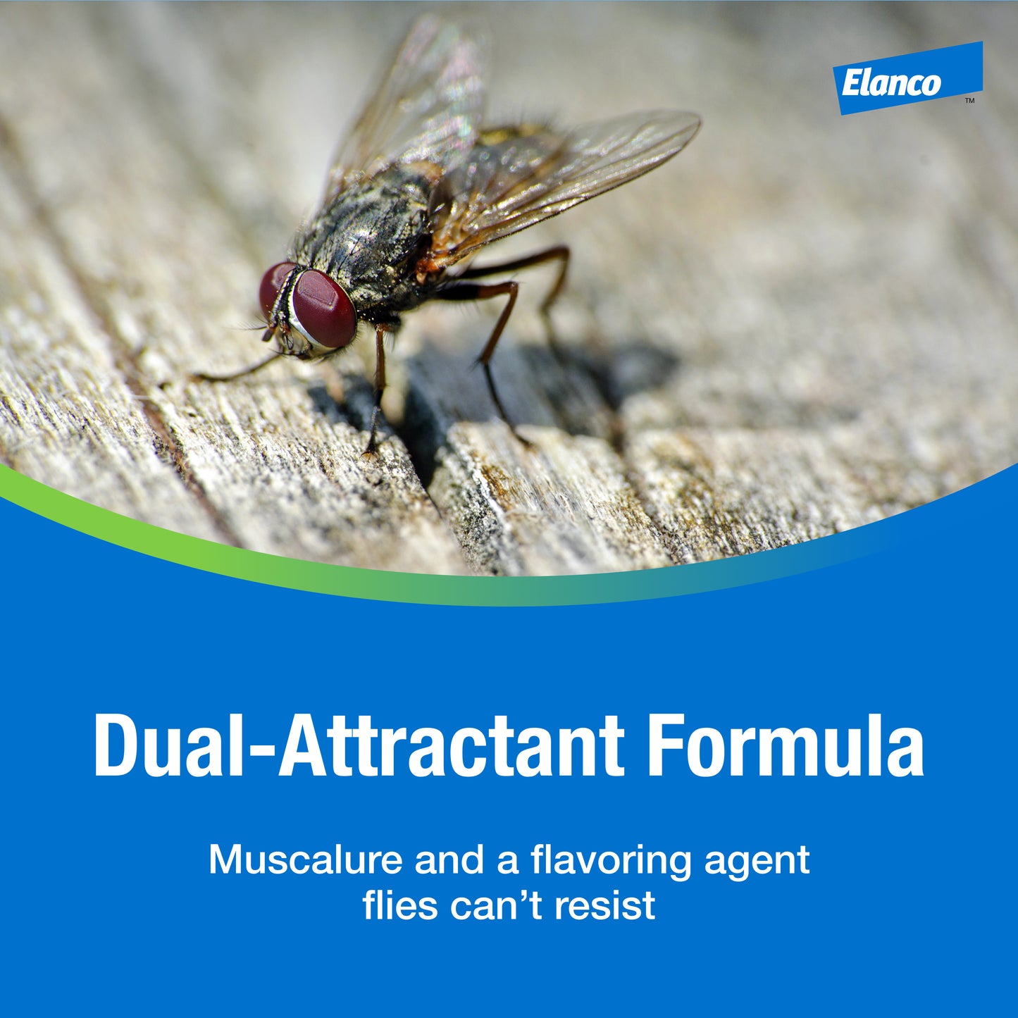 Elanco QuickBayt Spot Spray 3 oz – House Fly Spray with Attractant
