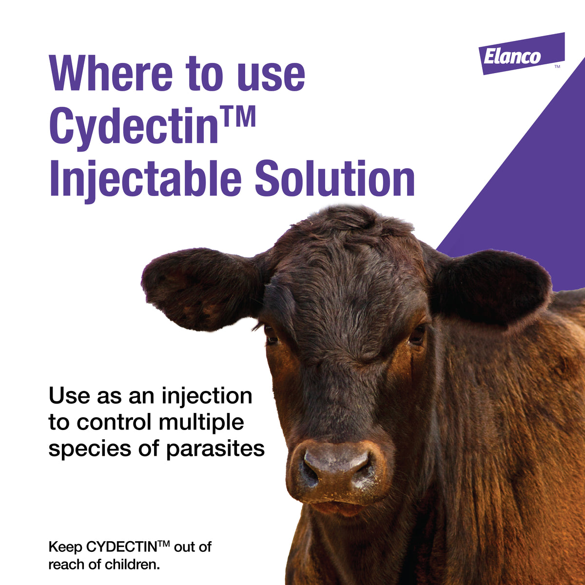 Elanco Cydectin Injectable Cattle Dewormer – Moxidectin, 500 mL