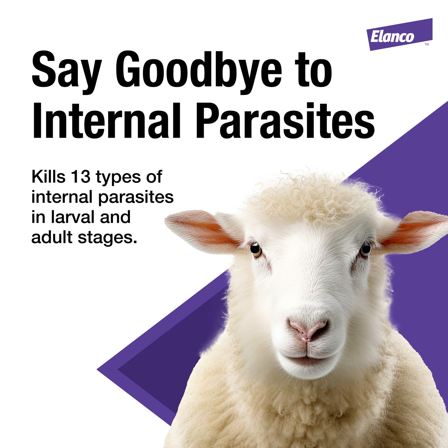 ELANCO Cydectin Oral Drench Dewormer for Sheep | 0.1% Moxidectin | 1 L