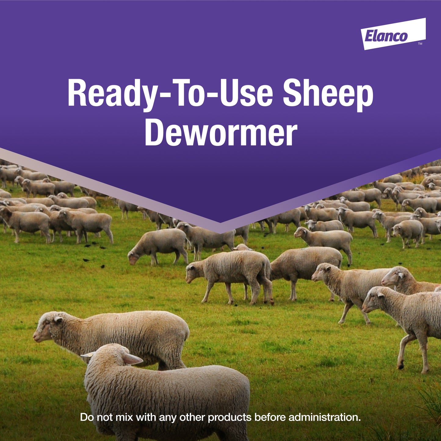 ELANCO Cydectin Oral Drench Dewormer for Sheep | 0.1% Moxidectin | 1 L