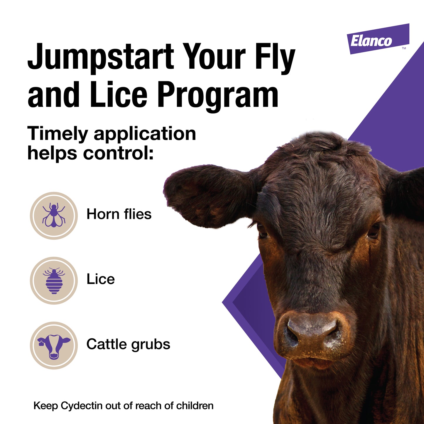 Elanco Cydectin Pour-On Cattle Dewormer (Moxidectin)