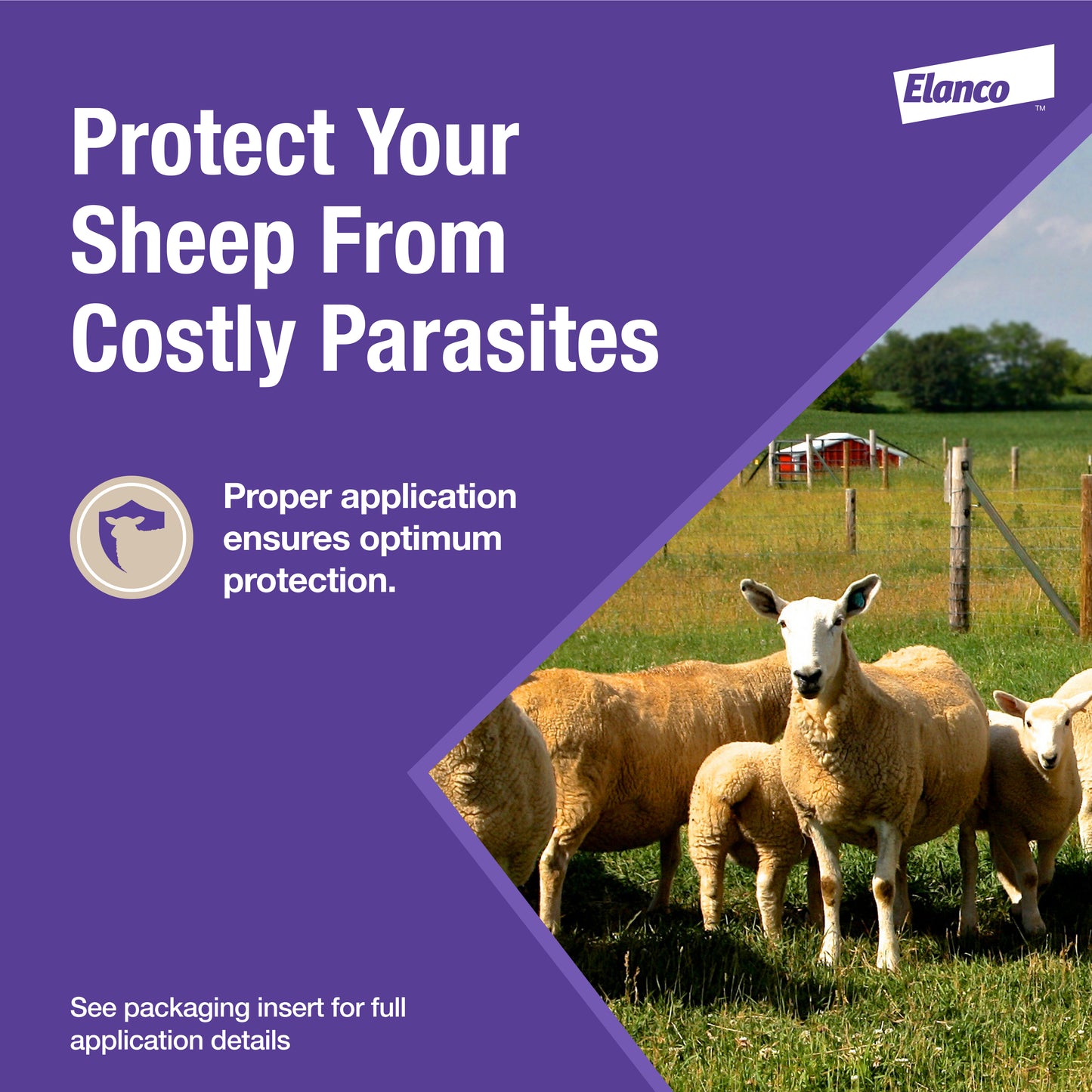 ELANCO Cydectin Oral Drench Dewormer for Sheep | 0.1% Moxidectin | 1 L