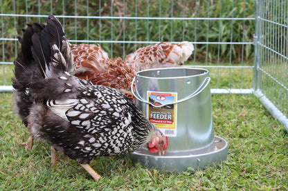 Little Giant Hanging Metal Chicken Feeder | Galvanized Steel Feeder