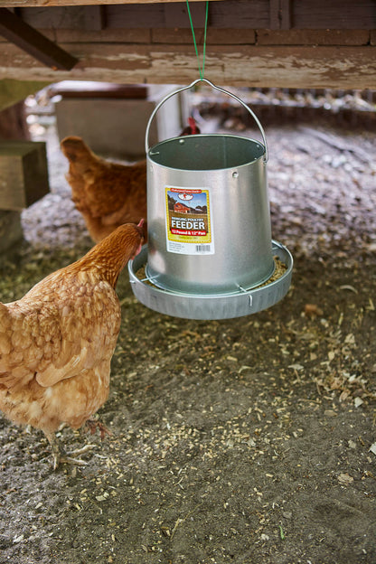 Little Giant Hanging Metal Chicken Feeder | Galvanized Steel Feeder