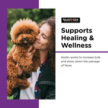 Nutri-Vet Dog Anti-Diarrhea Liquid 4 oz | Kaolin & Pectin Digestive Support