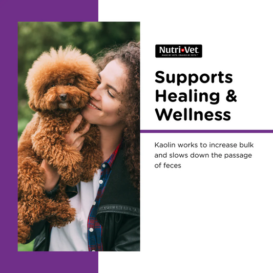 Nutri-Vet Dog Anti-Diarrhea Liquid 4 oz | Kaolin & Pectin Digestive Support