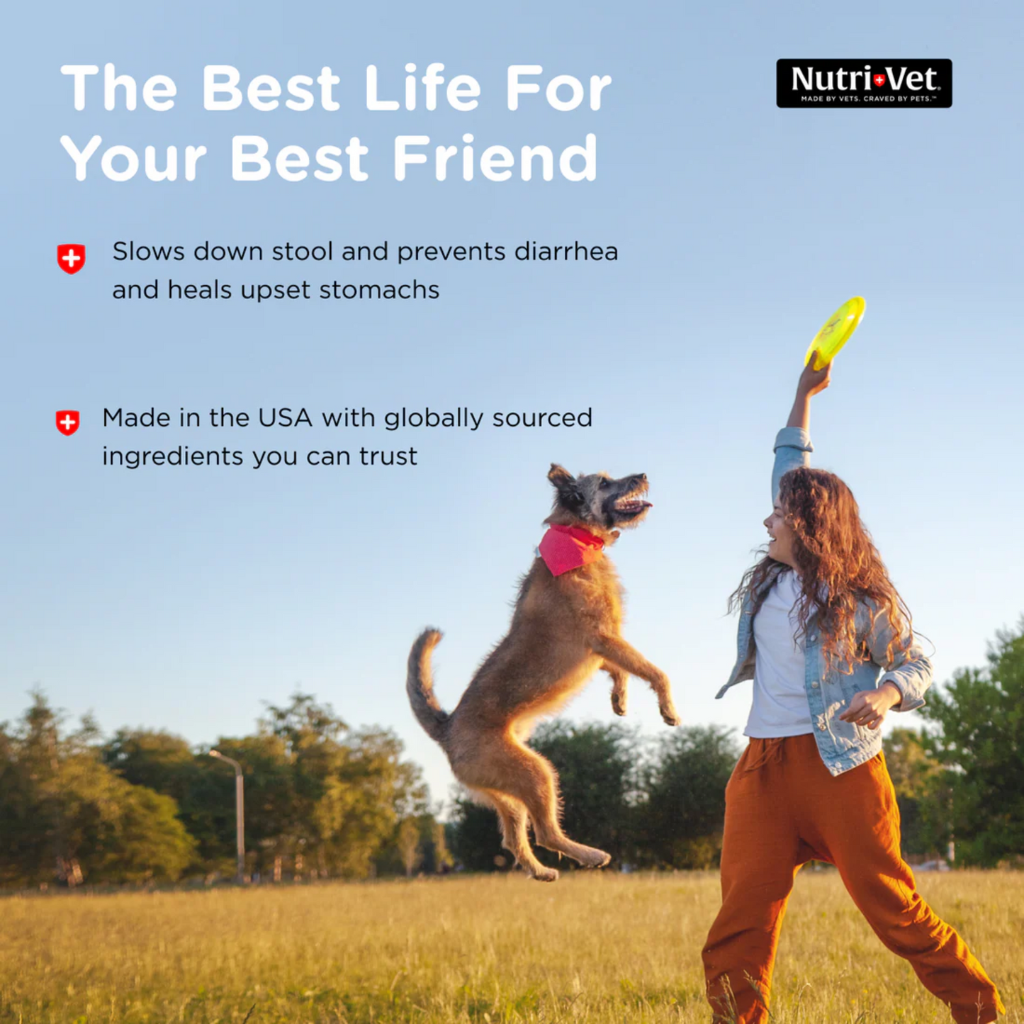 Nutri-Vet Dog Anti-Diarrhea Liquid 4 oz | Kaolin & Pectin Digestive Support