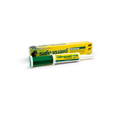 SAFE-GUARD Fenbendazole Horse Dewormer Paste 25g & 92g | Merck