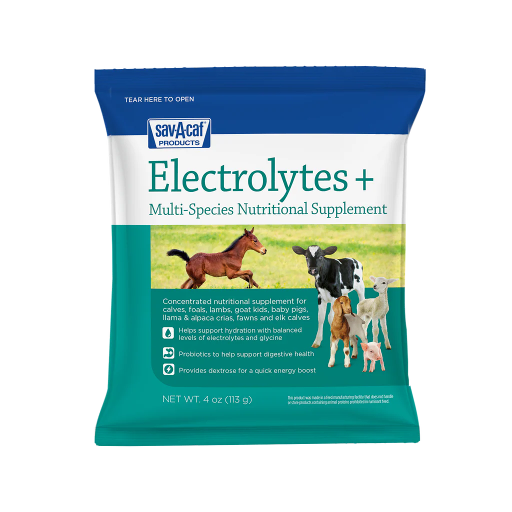 Sav-A-Caf Electrolytes Plus Supplement | Hydration & Energy for Calves & Livestock | 4 oz