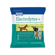 Sav-A-Caf Electrolytes Plus Supplement | Hydration & Energy for Calves & Livestock | 4 oz