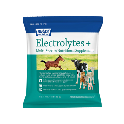 Sav-A-Caf Electrolytes Plus Supplement | Hydration & Energy for Calves & Livestock | 4 oz