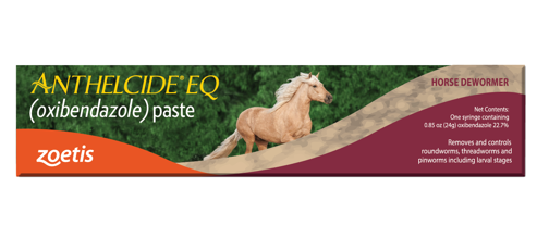 Zoetis Anthelcide EQ Paste Horse Dewormer with Oxibendazole, 1 Dose Syringe