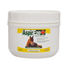 Durvet AspirEze Plus | Horse Aspirin Pain & Inflammation Relief