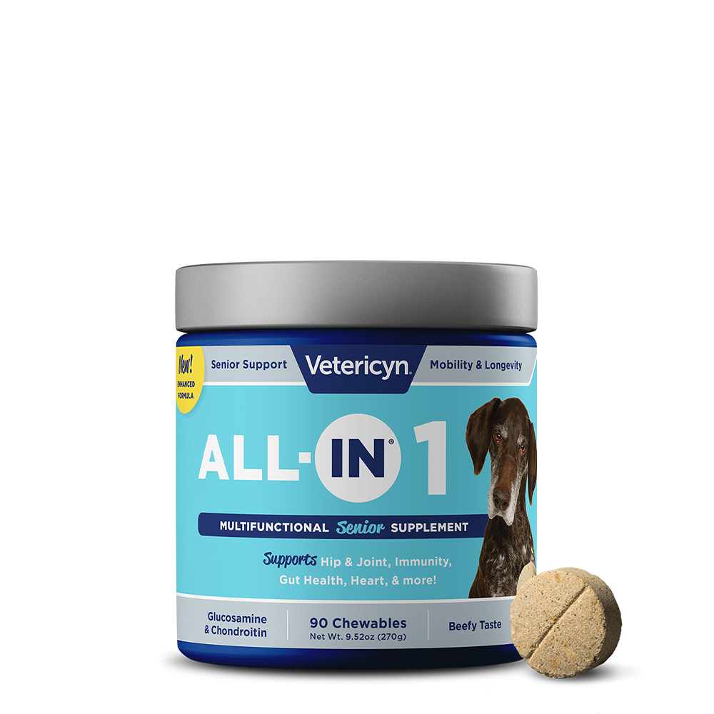 Vetericyn ALL-IN Senior Dog Supplement | Multivitamin with Glucosamine, Chondroitin & Fish Oil | 90 Chewables