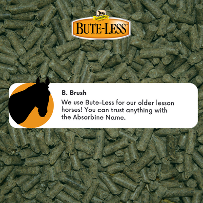 Absorbine Bute-Less Comfort & Recovery Paste | Horse Inflammation Supplement | 30cc