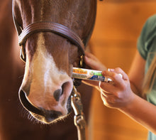 Absorbine Bute-Less Comfort & Recovery Paste | Horse Inflammation Supplement | 30cc