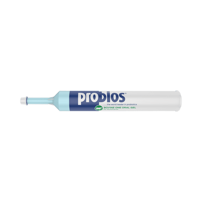 Probios Bovine Oral Gel – Digestive Support for Cattle, Sheep & Goats