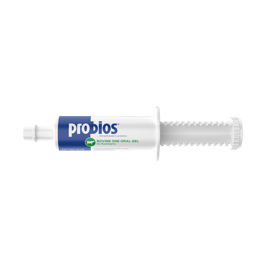 Probios Bovine Oral Gel – Digestive Support for Cattle, Sheep & Goats