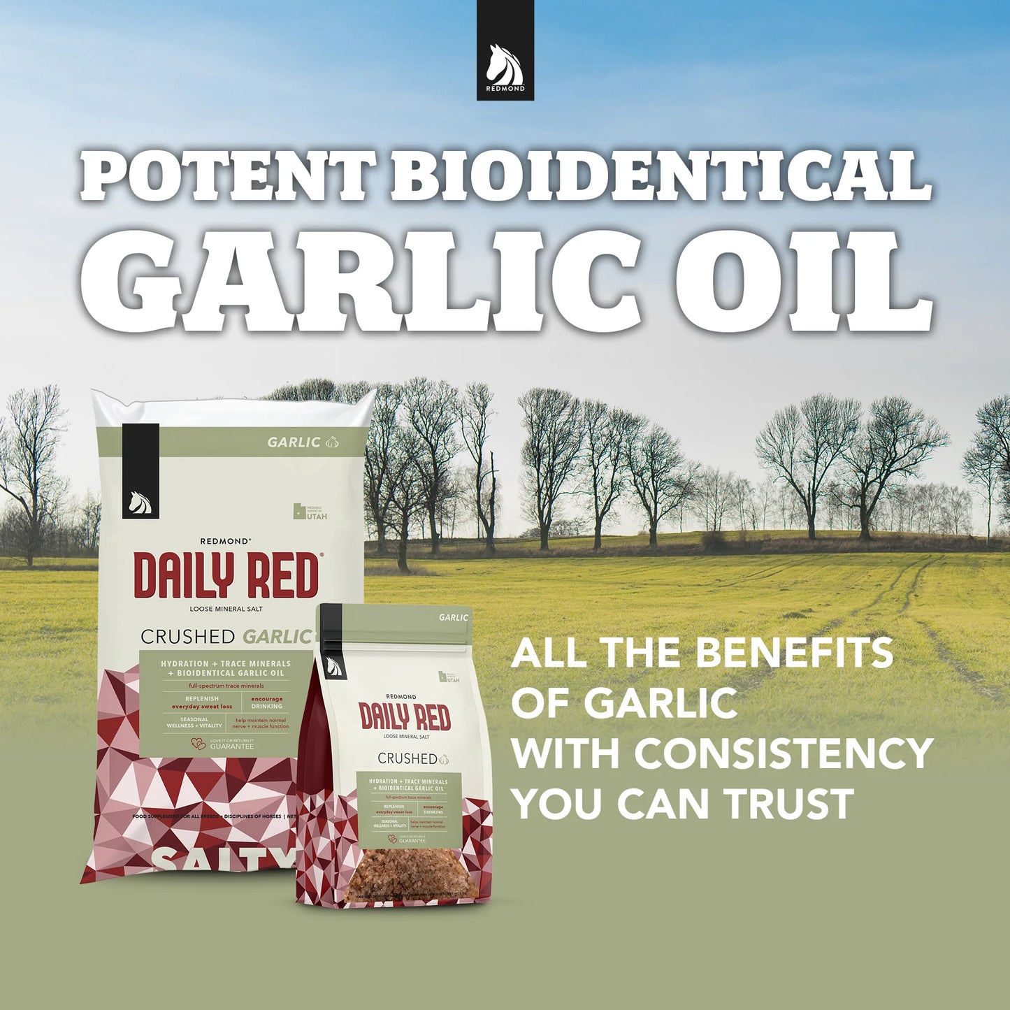 Redmond Daily Red Crushed Garlic | Horse Mineral & Fly Control Supplement | 5 lb