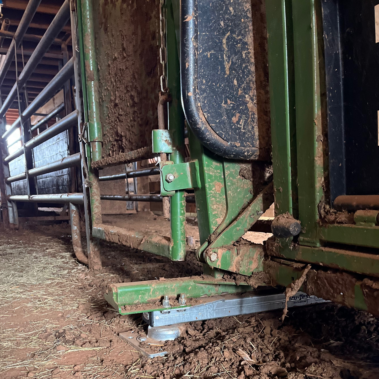 Tru-Test HD5T Load Bars | 39" Heavy-Duty 11,000 lb Cattle Squeeze Chute Scale Bars