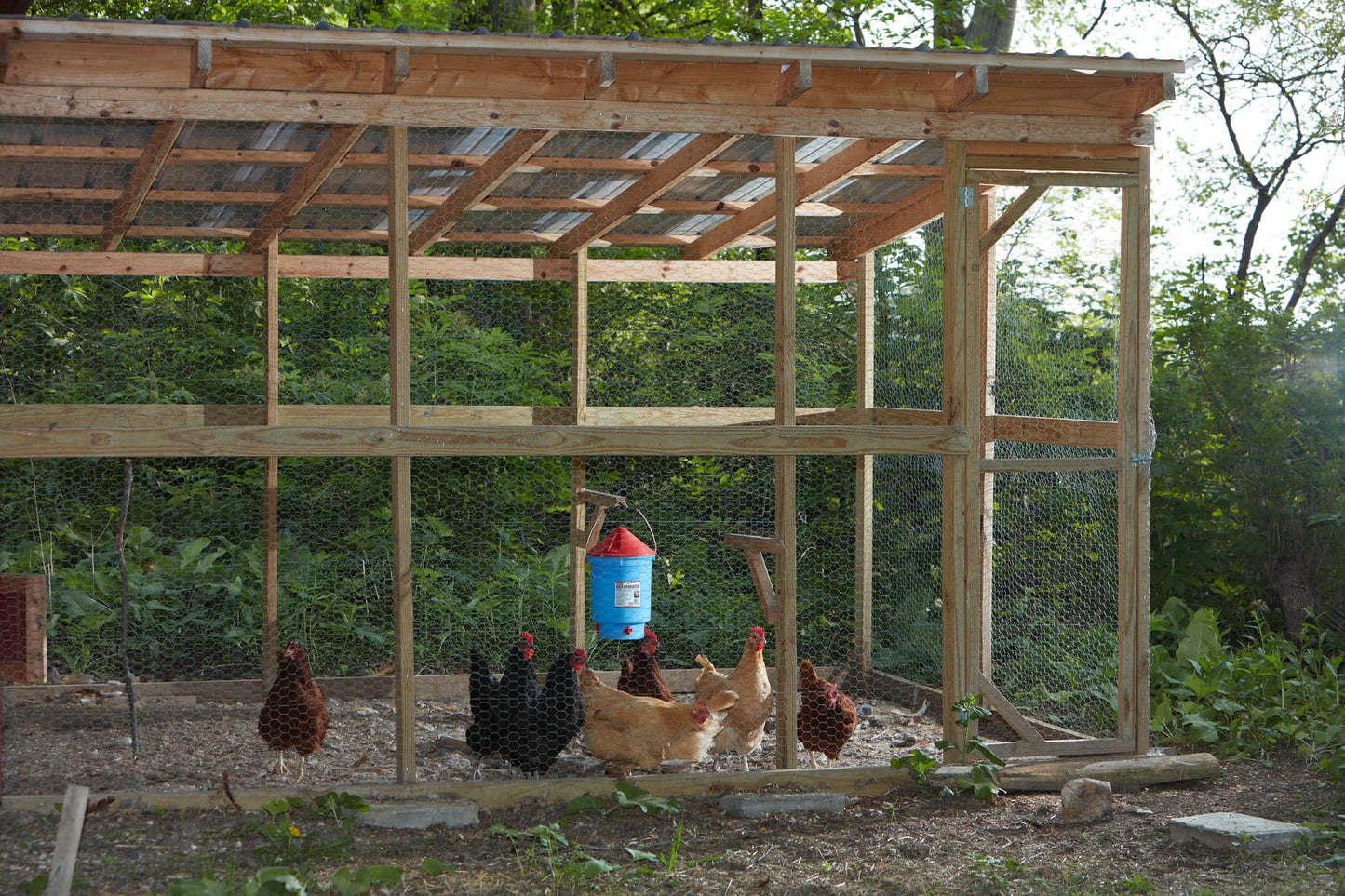 Little Giant Deluxe Hen Hydrator | Poultry Nipple Waterer | UV-Protected Plastic | 3 Gallon