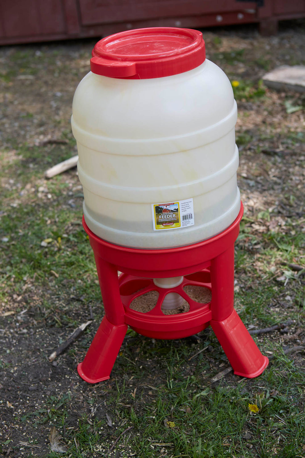 Little Giant Plastic Dome Poultry Feeder | Top-Fill Chicken & Duck Fee ...
