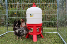 Little Giant Plastic Dome Poultry Waterer | Top-Fill Chicken & Duck Waterer | 10 Gallon