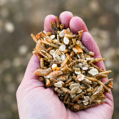 Happy Hen Duck Pond Medley | High-Protein Duck & Waterfowl Treat | 2 lb