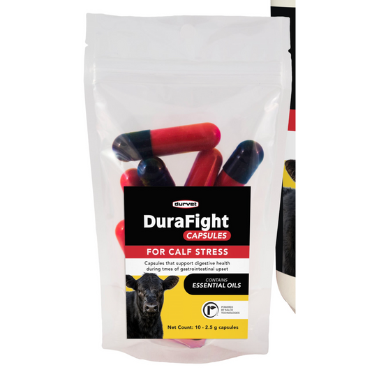 Durvet DuraFight Capsules | Calf Stress, Electrolytes, & Digestive Support