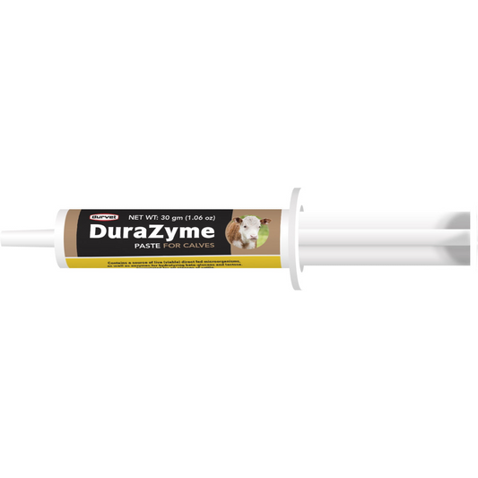 Durvet DuraZyme Paste for Calves | Probiotic Digestive Support