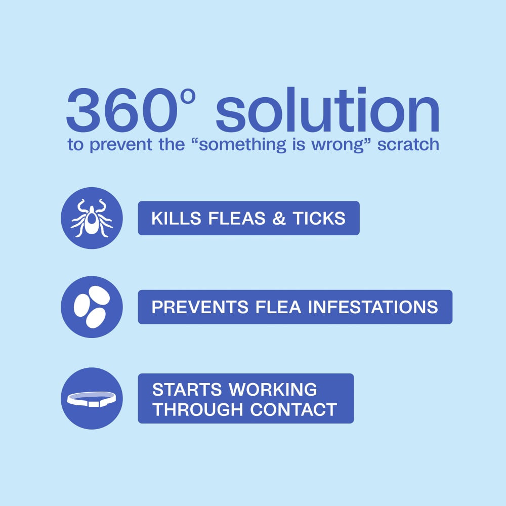 Adams Plus Flea & Tick Collar for Dogs | Water-Resistant | 7-Month Protection